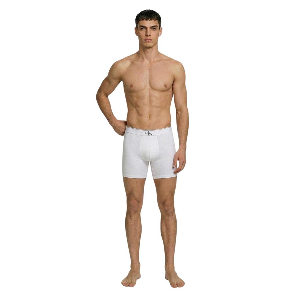 Calvin Klein Mens Cotton Boxer Briefs (Pack of 3)