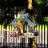 Acrylic Bird Feeder Clear Hanging Window Bird Feeder Birdfeeder Birdhouse Pet Bluebird Patio Garden Birdfeeder Feeding Tray