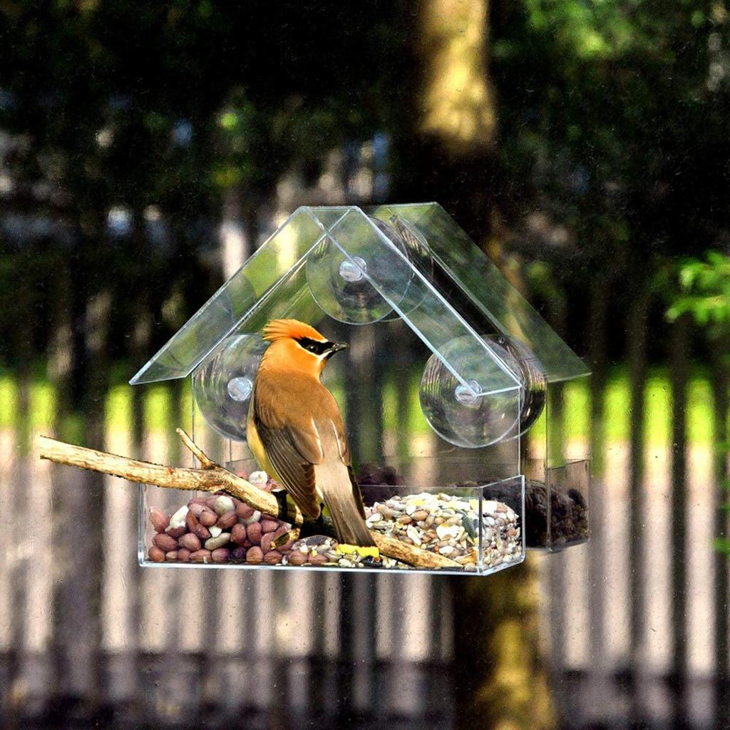 Acrylic Bird Feeder Clear Hanging Window Bird Feeder Birdfeeder Birdhouse Pet Bluebird Patio Garden Birdfeeder Feeding Tray