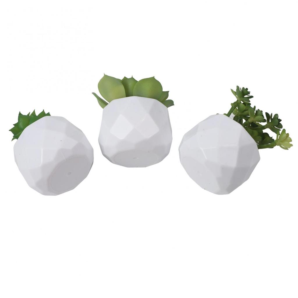 Artificial Succulents Decorative Flower Pot Easy Maintenance