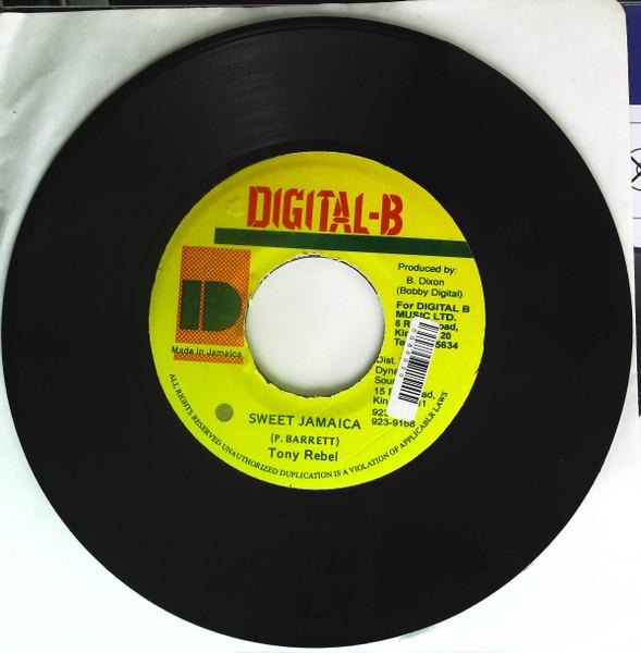 

7-дюймовая пластинка TONY REBEL Sweet Jamaica NONE DigitalB 1991 Япония Reggae Ska Dub Б/у