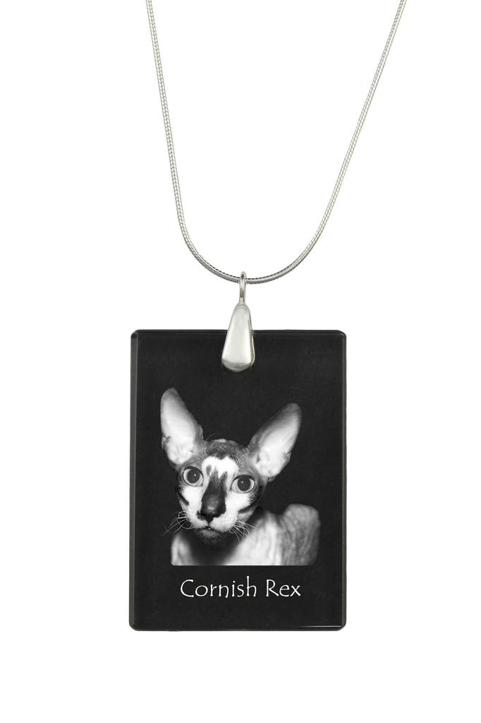 Cornish Rex – Crystal pendant with cat, silver necklace with photo | Art-Dog