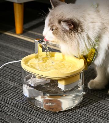 Gatos – Cuencos de agua para gatos