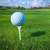 Set de 20 Tees de Golf Professionnels avec Rayures Tees d'Entraînement de Golf Porte-Balles de Golf Accessoires de Golf