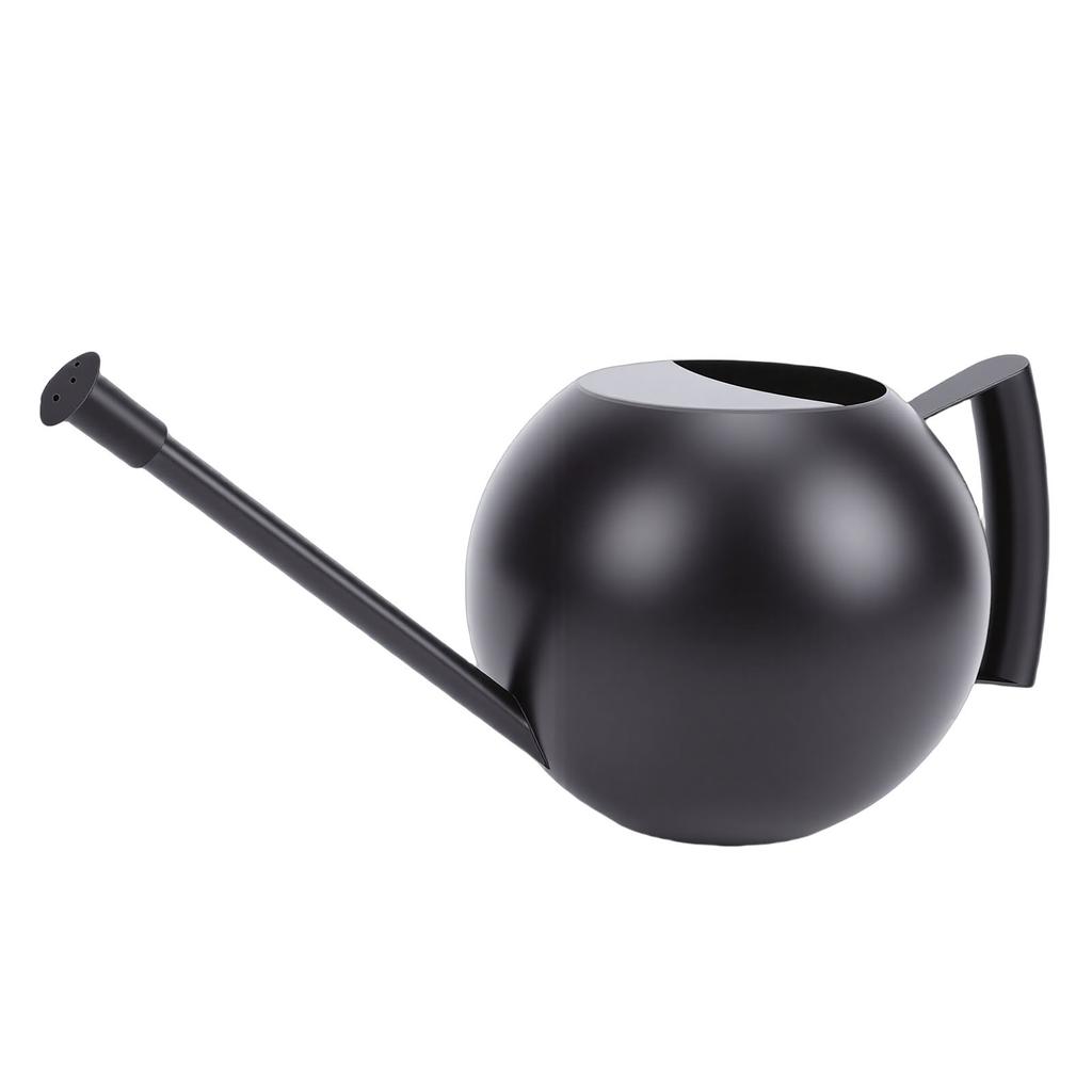 Watering Can for Outdoor Indoor Plants, Small 1000ML Stainless Steel Watering Pot with   Spout, Removable Nozzle, Metal Water Can for House Plant