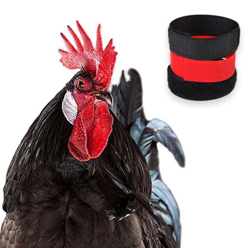 2 Pieces Chicken Collars Noise Free Neck Belt No Crow Rooster Collar Preventing Chickens from Disturbing Neighbors