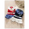 Pet Clothes College Style Plaid Shirt Skirt Couple Clothes Versatile German Hairless Cat Autumn and Winter Cat Clothes
