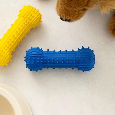 [Pet] Gıcırtılı Oyuncak Dambıl