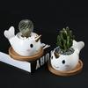 Cute Cartoon Animal Dolphin Succulent Flower Pot Creative Desktop Plant Decoration Ceramic Flower Pot