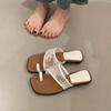 Cool slippers women's outer wear summer 2025 new French fashion casual beach lace thick heel pinch toe half drag