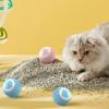1Pcs Pet Gravity Intelligent Rolling Ball Cat Toy To Relieve Boredom Self Hi Cat Teaser Stick Kitten Charging Cat Teaser Ball