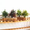 1Pc Artificial Simulation Green Plant Plastic Fake DIY Garden Landscape Home Decoration Accessories