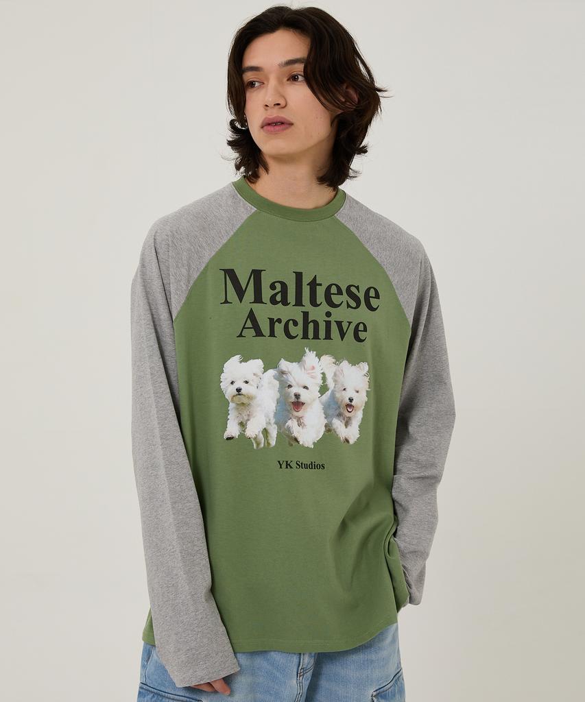 WAIKEI Maltese Archive Raglan Long Sleeve T-Shirt Ivory