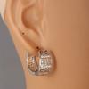 Luxury Hollow Geometric Great Wall Textured Earrings
