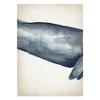 Marine Animals Canvas Paintings Great White Shark Posters and Prints Killer Whale Wall Art Picture for Home Decoration No Frame