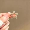 Five-Pointed Star Anti-Exposure Small Brooch, High-End Elegant Women's Dense Setting Pin, Collar Button Decoration Fixed Clothing Tool