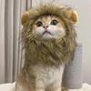 Kočičí Cosplay Oblékání Pet Hat Lví hříva pro kočku Štěně Lion Paruka Kostým Party Dekorace Halloween Vánoce Gatos Potřeby pro domácí mazlíčky