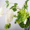 Decoração de casa – Flores e coroas artificiais