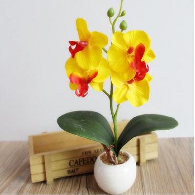 Quatro borboleta orquídea planta carnuda bonsai acessórios criativos para arranjos florais