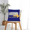 Camino De Santiago Square Pillow Cases Frances 790 Plate Cushion Cover Funny Polyester Decor Pillowcase For Seat 40*40Cm
