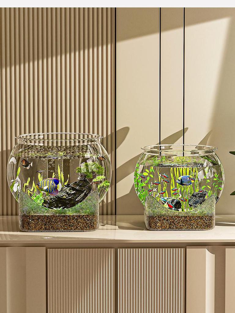 Transparent PET Material Wear-Resistant Desktop Hydroponic Goldfish Tank - Durable and Varied Styles