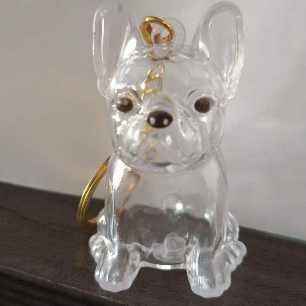 Transparent Dog Hair Storage Box Hair Grooming Puppy Pendants Pet Hair Keychain  Jewelry Gift