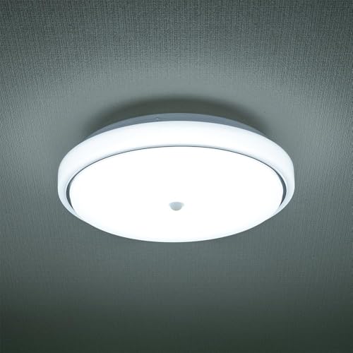 OHM LED Interior Entrance Light, Daylight | OHM Electric LT-Y18D-GB-PIR 06-5570