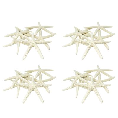 48PCS White Finger Starfish 5-10Cm Decorative Five-Finger Starfish
