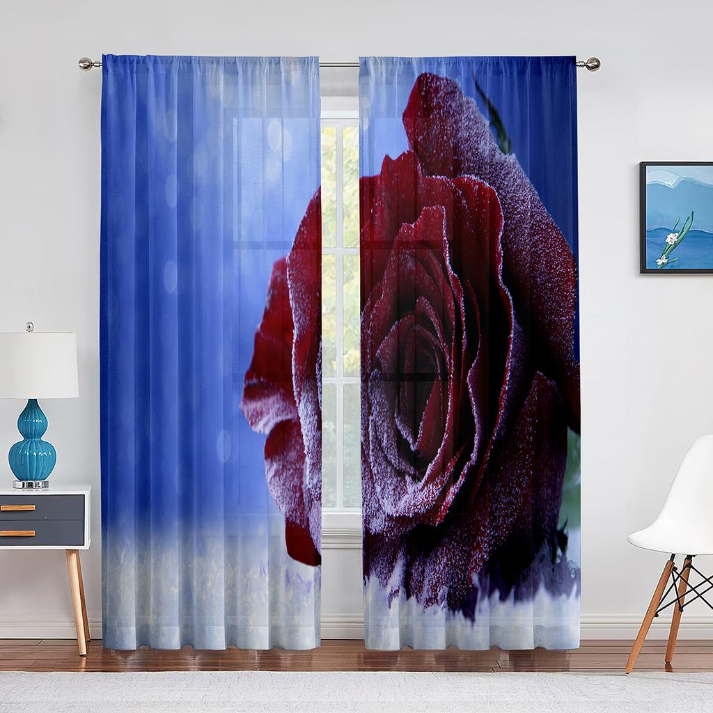 Bliski widok czerwonej róży kwitnącej przezroczyste zasłony okienne do sypialni salonu walentynkowe romantyczne kwiatowe szyfonowe tiulowe woalowe zasłony