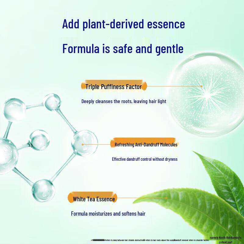 Rejoice Anti-Dandruff & Oil Control Shampoo