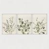 3pcs Frameless,Sage Green Plant Leaf Watercolor Wall Art Decor,Retro Plant Creative Canvas Poster Printing,Simple Home Decor
