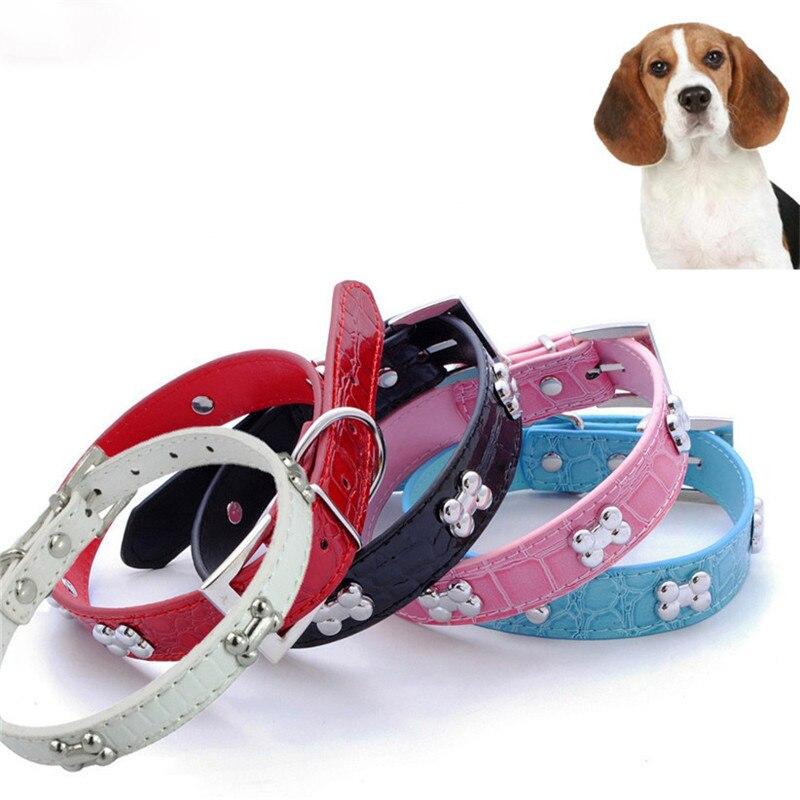 alligator dog collar