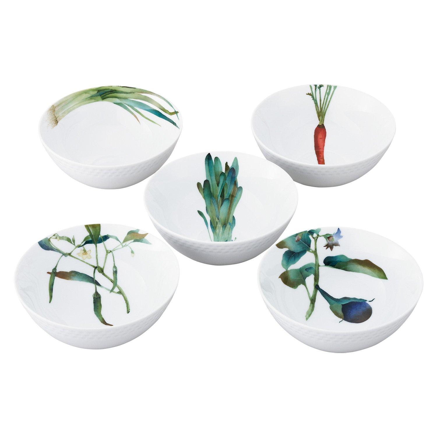 

Noritake Bowls (Set of 5) 14cm, 490cc, Kyoka Shunsai Design, Microwave and Dishwasher Safe, Fine Porcelain, F5306L/1620-15