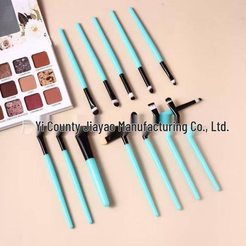 20-Piece Eye Makeup Brush Set - Includes Eyeshadow & Blush Brushes - Complete Beauty Tools Collection