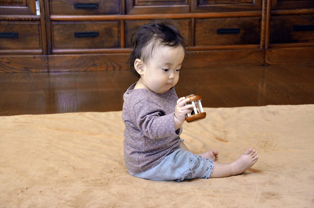 Sakai Sangyo Forest Roller Baby Made in Shake and First Natural Gift (Brown) Toy, Japan, Roll, Baby's Toy, Wooden, Color,