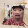 John Pork Is Calling Funny Cushion Cover Silky Short Plush DoubleSided Printed Pillow Case for Sofa All Seasons Home Decor Gift