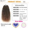 14-26"Goddess Locs Crochet Braids Hair Natural Synthetic Braiding Hair Extension Ombre River Faux Locs With Curly Hair Expo City