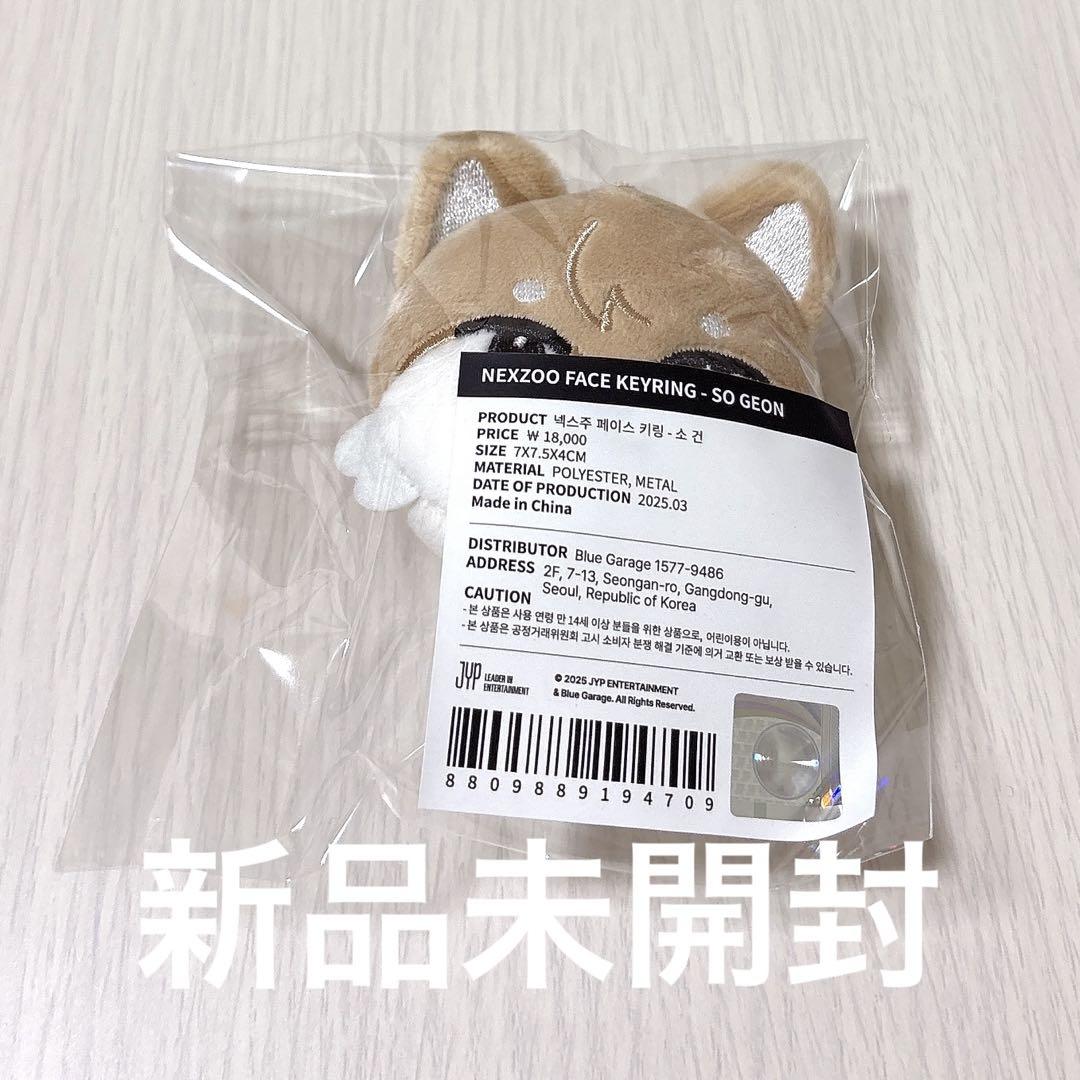 

[USED] NEXZ Nexji Fanmi Face Key Ring Gonski Sogon