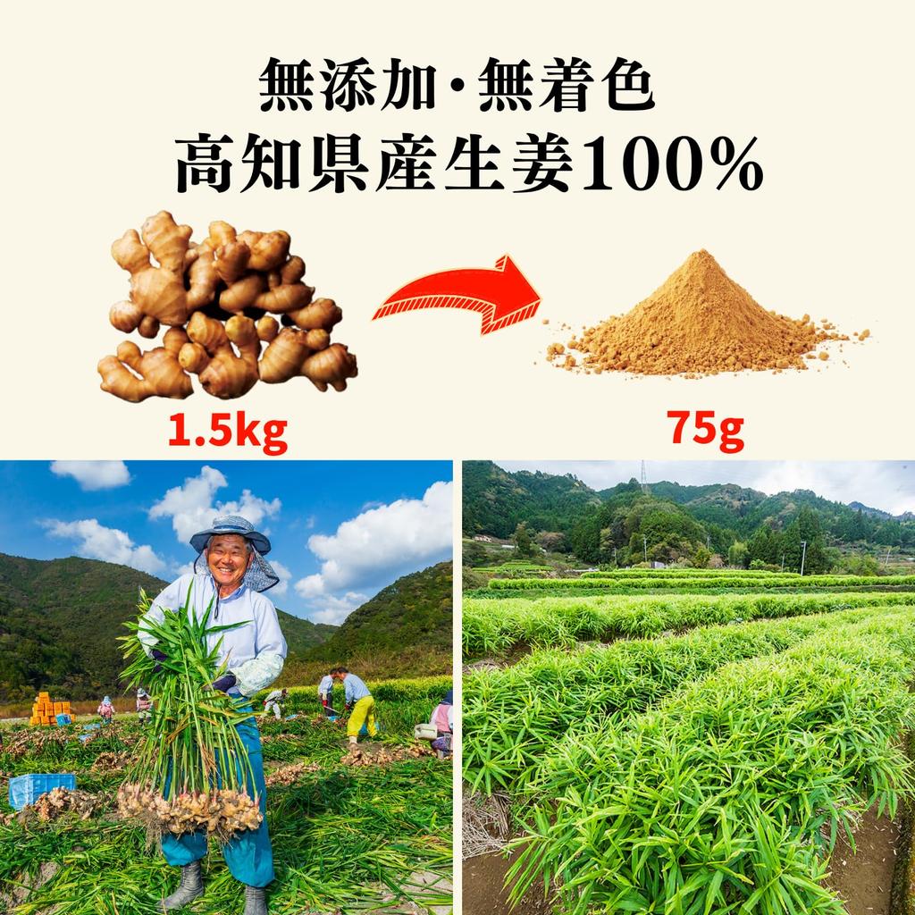 Ginger Kochi Prefecture Ginger Powder 75g x 1 bag Powdered ginger from Kochi Prefecture Domestic Craft Ginger Ginger Powder Ginger Tea [Craft