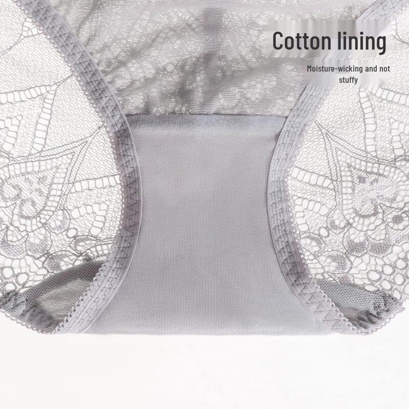 TINGE Women's Lace Seamless Briefs