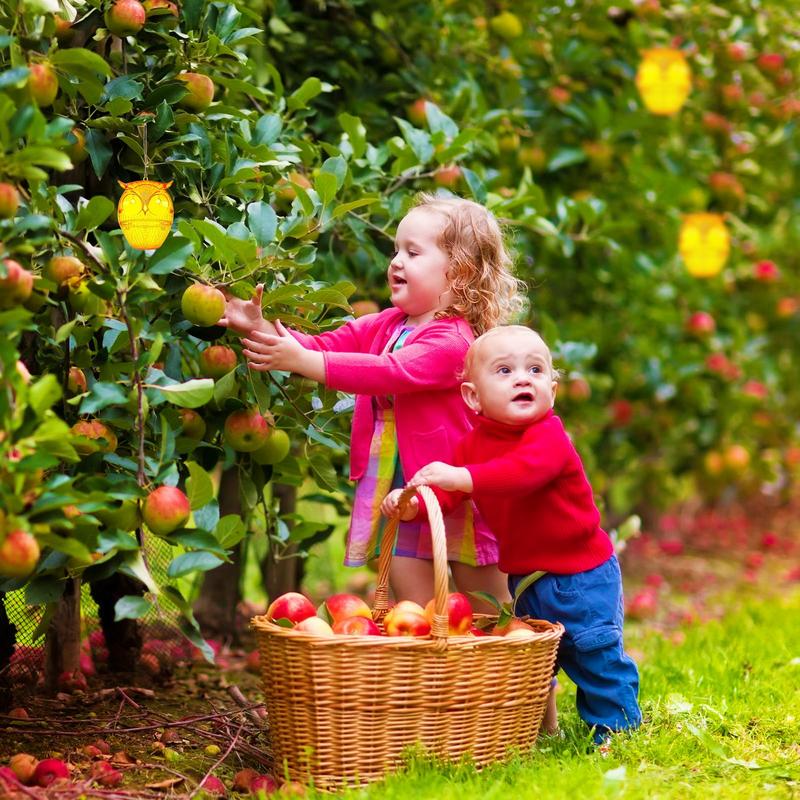 Wasp Catcher Bee Trap 2X Ecologic Reusable Repeller For Control Yellow Jacket Home Patio Yard Camping Garage