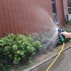 Adjustable Copper Hose Spray Nozzle Gun Watering Nozzle Suitable for Car Wash,Cleaning,Watering Lawn and Garden,Garden Water Gun