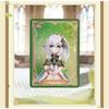 MiHoYo Official Open World Game Genshin Impact Collection Card Fan Like Classic Characters Peripheral Surprise Cards Kids Gifts
