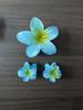 Gradient Plumeria Claw Clip Set: 18-Piece Floral Hair Accessories