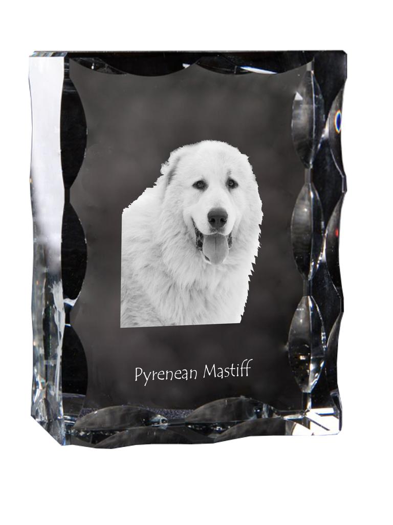Pyrenean Mastiff, Mastín Del Pirineo - Crystal with a Picture of a Dog, Glass Statuette with a Picture, Unique Frame with a Picture from Art-Dog Brand