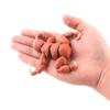3D Printed Three-Toed Sloth Interactive Joints Authentic Animal Model Print Eco-Friendly Toy For Kids & Collectors