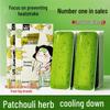 Refreshing Herbal Cooling Patches