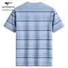 Men's 7A Antibacterial Cooling Striped Short Sleeve T-Shirt