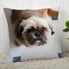 Fodera per cuscino per cane Shih Tzu Personalizza federa Moderna casa decorativa federa per soggiorno