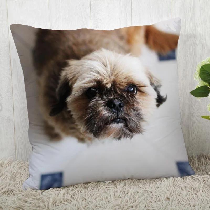 Fodera per cuscino per cane Shih Tzu Personalizza federa Moderna casa decorativa federa per soggiorno